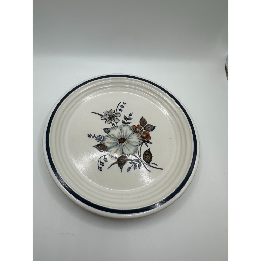 Town & Country Blue Ridge Stoneware 6" Plate Bread & Butter, Dessert - One Plate